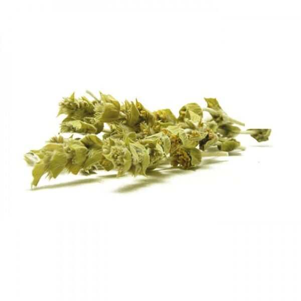 Τσάι του Βουνού Βιολογικό 30γρ